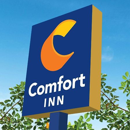 Comfort Inn Queretaro Tecnologico מראה חיצוני תמונה